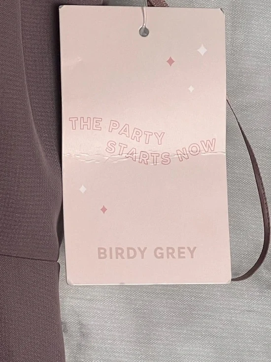 Birdy Grey Toffee NWT XS Chris Chiffon Wedding Guest Formal Dress STRAPLESS - Picture 8 of 11